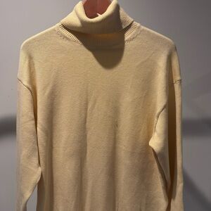 Aritzia sweater